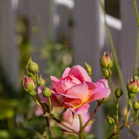Pension Slaegtsgaarden 알링에 외부 사진